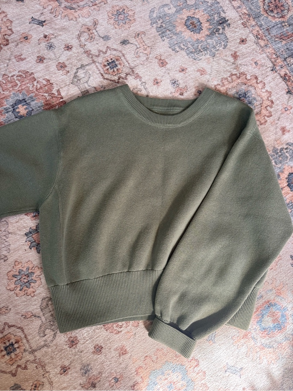 aerie Olive Crewneck Sweatshirt